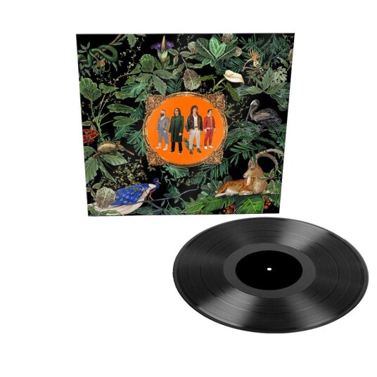 Don Broco  Amazing Things  LP/Vinyl