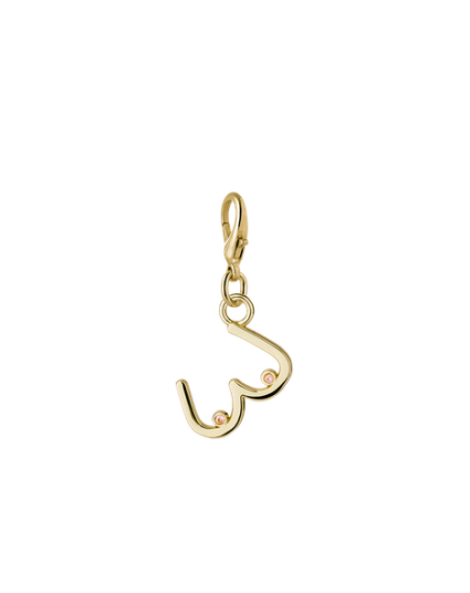 Charm Goldies Charm Goldies