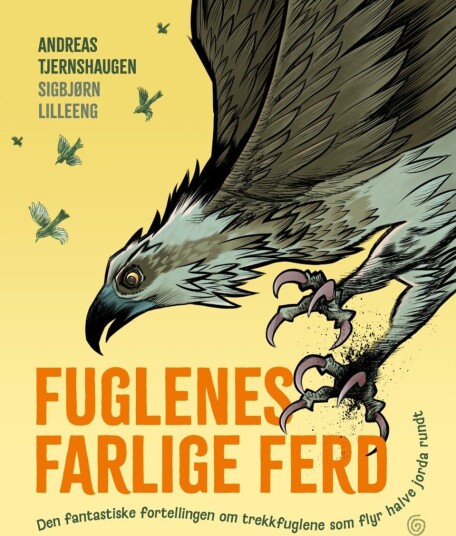 Fuglenes farlige ferd