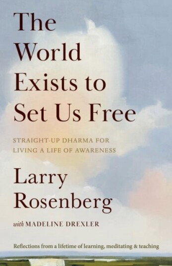 The World Exists to Set Us Free  StraightUp Dharma for Living a Life of Awareness