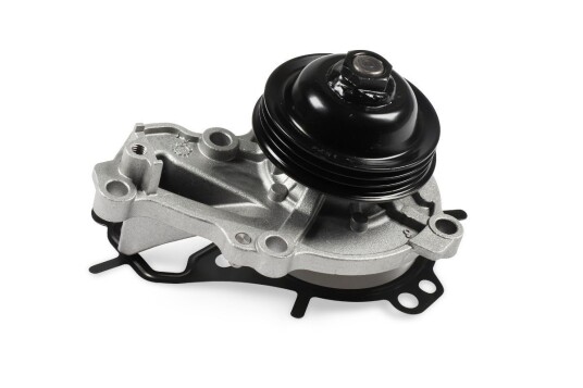 Vannpumpe HEPU P909