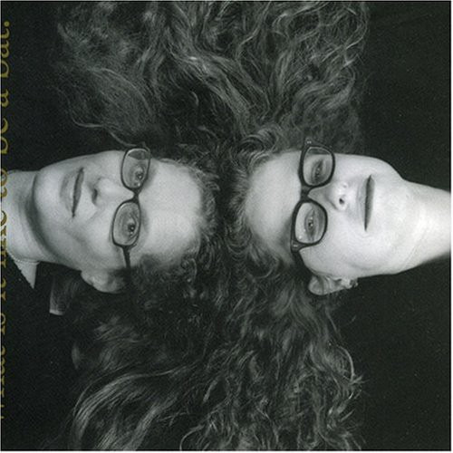 Kitty Brazelton What Is It Like To Be A Bat CD