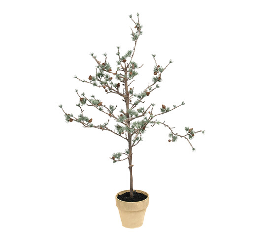 Mr. Plant Lerketre i potte 100 cm Mr. Plant Lerketre i potte 100 cm