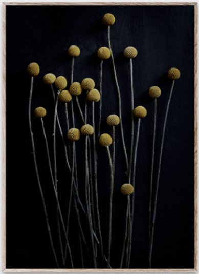 Paper Collective Still Life 01 Yellow Drumsticks 30 x 40 cm