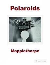 Robert Mapplethorpe Av Sylvia Wolf
