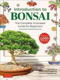 Introduction To Bonsai Av Bonsai Sekai Magazine