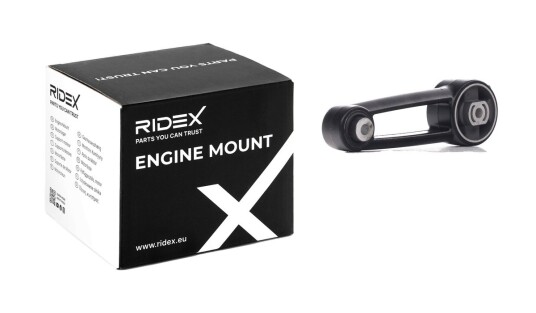 Motorfeste RIDEX 247E0530