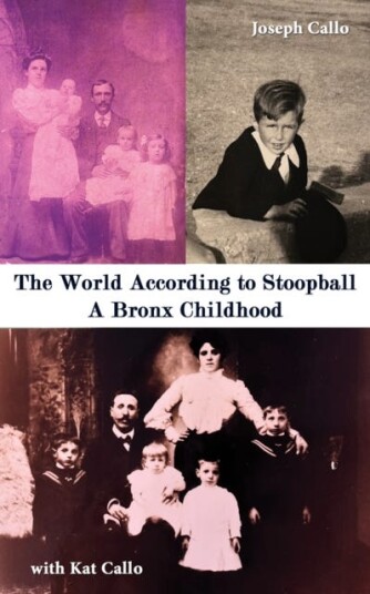The World According to Stoopball  A Bronx Childhood