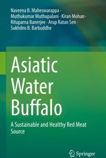 Asiatic Water Buffalo