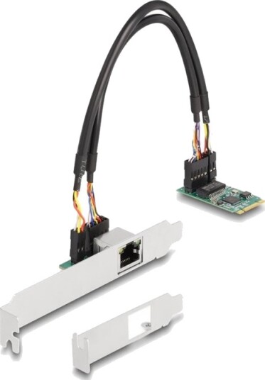 Delock - Nettverksadapter - M.2 2242 Lav Profil - 10/100/1000/2500Base-T X 1