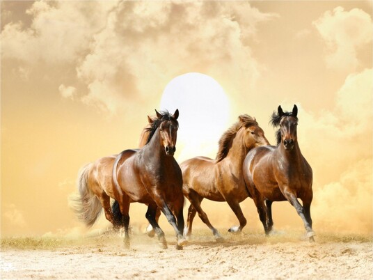 Fototapet Running Horse 200x154 - Artgeist sp. z o. o.