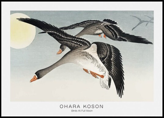 Birds At Full Moon By Ohara Koson Plakat Plakat / 30x40cm