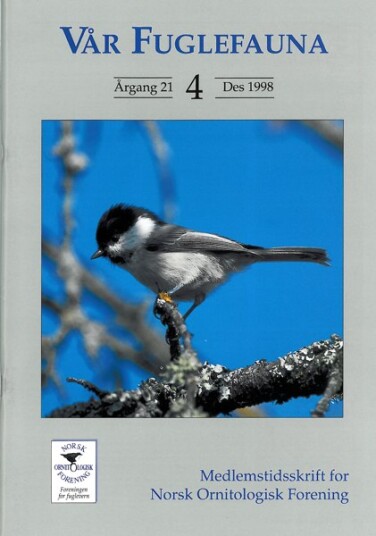 Norsk Ornitologisk Forening Vår Fuglefauna   1998 4 årgang 21