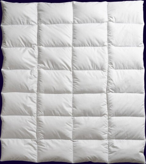 Norsk Dun 100 % Gåsedundyne Medium B 2885113