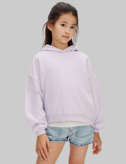 Calvin Klein Ck Hooded Sweatshirt Purple 164