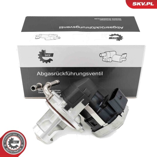 EGR Ventil ESEN SKV 14SKV255