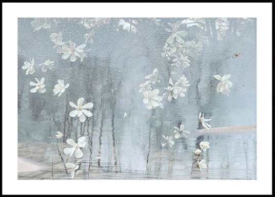 Change of season Plakat Plakat / 50x70cm