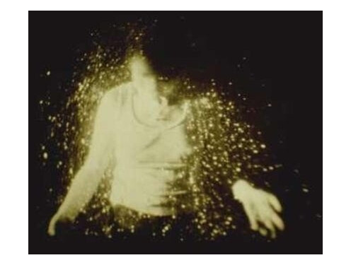 Wolf Alice  My Love Is Cool  LP/Vinyl
