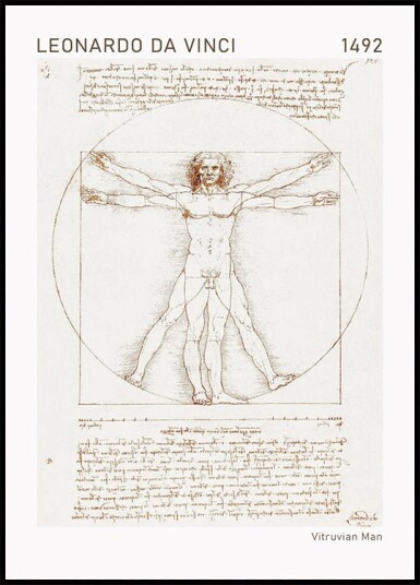 Leonardo da Vinci Vitruvian Man Plakat Plakat / 21x30cm