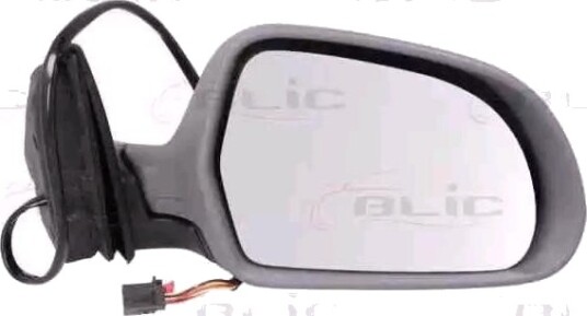BLIC 5402-43-2002366P Sidespeil