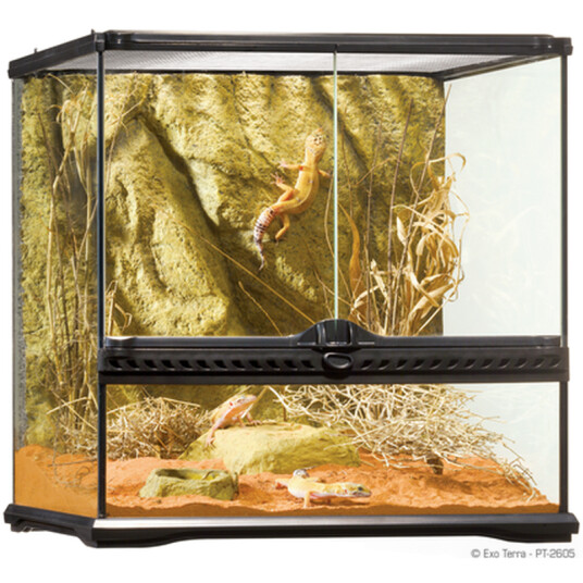 Glassterrarium Naturlig Liten/Bred 45 X 45 X 45 cm Glassterrarium Naturlig Liten/Bred 45 X 45 X 45 cm