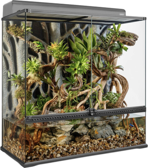 Glassterrarium Natural Large/X-Tall 90 X 45 X 90 cm Glassterrarium Natural Large/X-Tall 90 X 45 X 90 cm