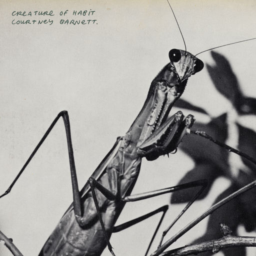 Courtney Barnett Creature Of Habit CD Courtney Barnett Creature Of Habit CD