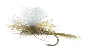 Flies Parashute Dun Olive #14 Olive