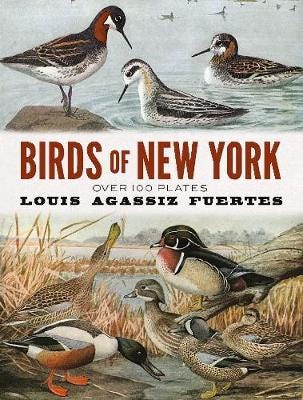 Birds Of New York Av Louis Agassiz Fuertes