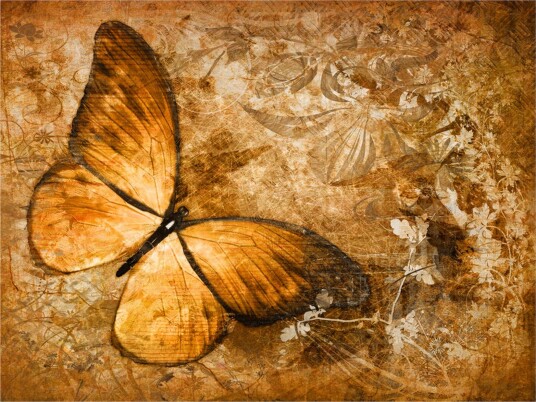 Fototapet Butterfly Sepia 400x309 - Artgeist sp. z o. o.