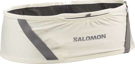 Salomon Pulse Icicle/castelrock M