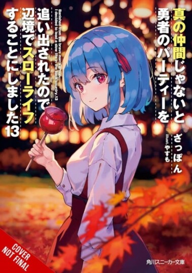 Banished from the Hero's Party I Decided to Live a Quiet Life in the Countryside Vol. 13 (light novel)