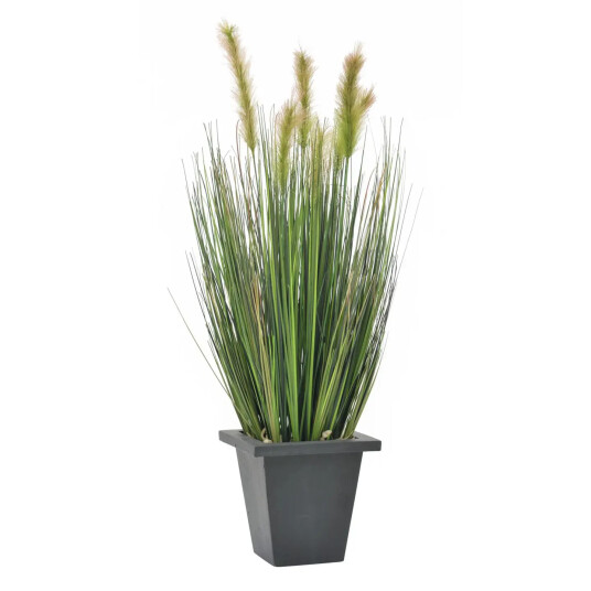 Europalms Moor-Grass In Pot, 60cm Europalms Moor-Grass In Pot, 60cm
