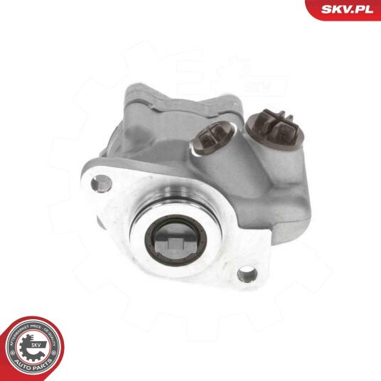 Servopumpe ESEN SKV 10SKV318 Servopumpe ESEN SKV 10SKV318