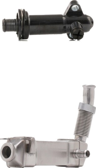 EGR-modul RIDEX 4198E0206
