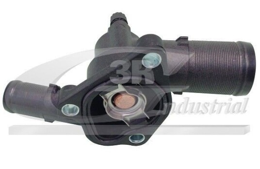 Termostat 3RG 80689