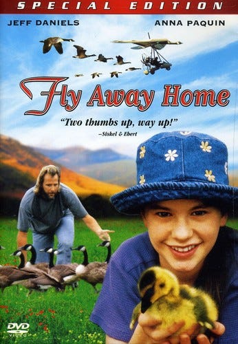 Fly Away Home DVD