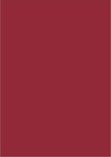 Folia Kartong 50x70 cm 300 g/m² Rød 10 ark Folia Kartong 50x70 cm 300 g/m² Rød 10 ark
