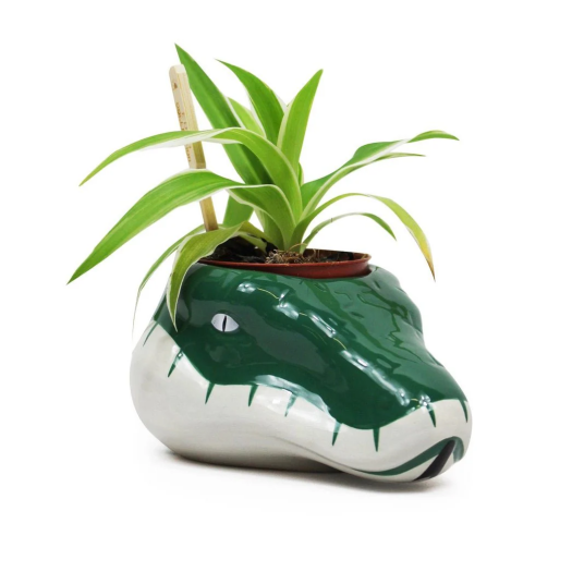 Harry Potter Vase Slytherin