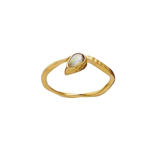 Maanesten Cille Ring Ring Gull  female 55