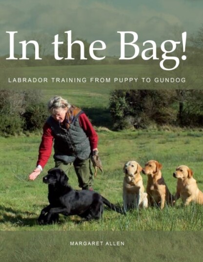 In The Bag! Av Margaret Allen