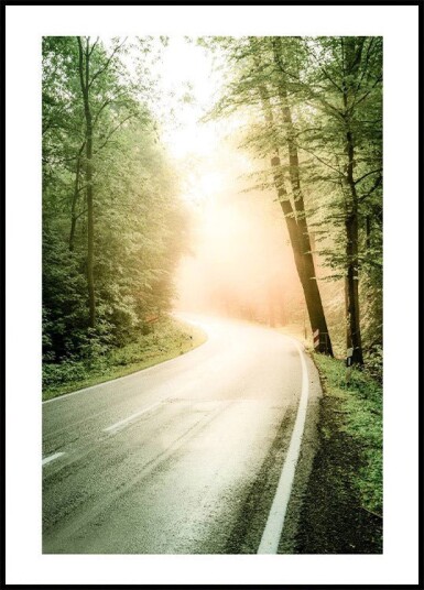 Fog Sunbeam Forest Plakat Plakat / 40x50cm