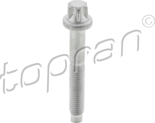 Skrue innsprøytningsdyseholder TOPRAN 306 289