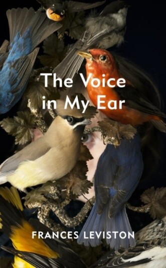 The Voice in My Ear The Voice in My Ear