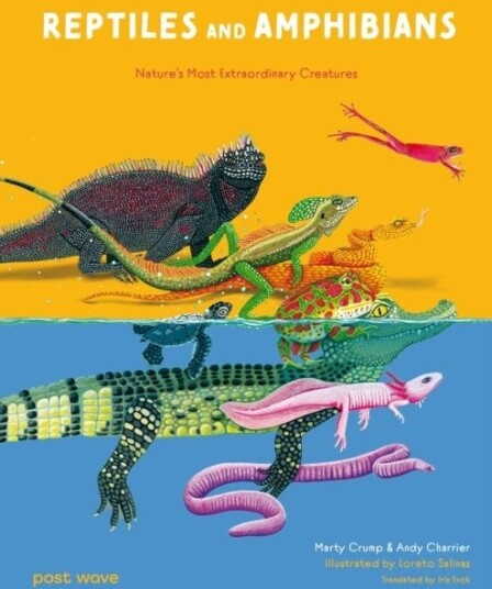 Reptiles and Amphibians Reptiles and Amphibians