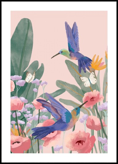 Hummingbirds Plakat / 40x50