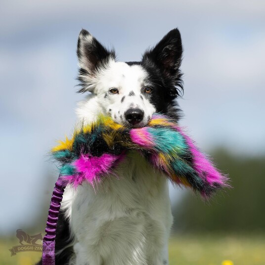 Doggie Zen Knitrende Bungee Hundeleke Høstfarger L