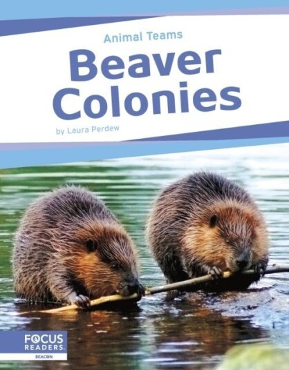 Beaver Colonies Beaver Colonies