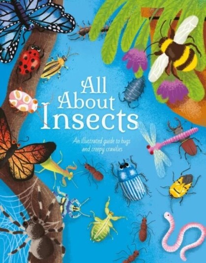 All About Insects Av Polly Cheeseman All About Insects Av Polly Cheeseman