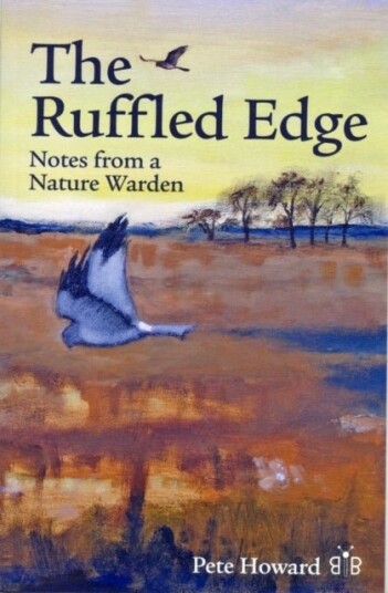 The Ruffled Edge The Ruffled Edge